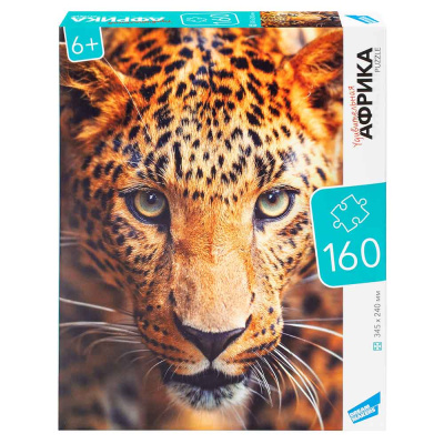 Пазл 160 Африка Dream Makers RI1602 1